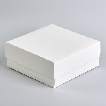 Коробка біла 170х170х80мм. Б65 фото